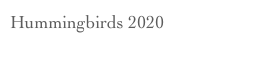 Hummingbirds 2020
